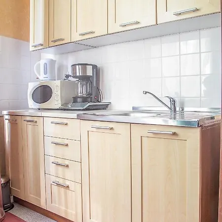 Apartment Al-dom Roza 101
